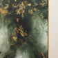 Fern